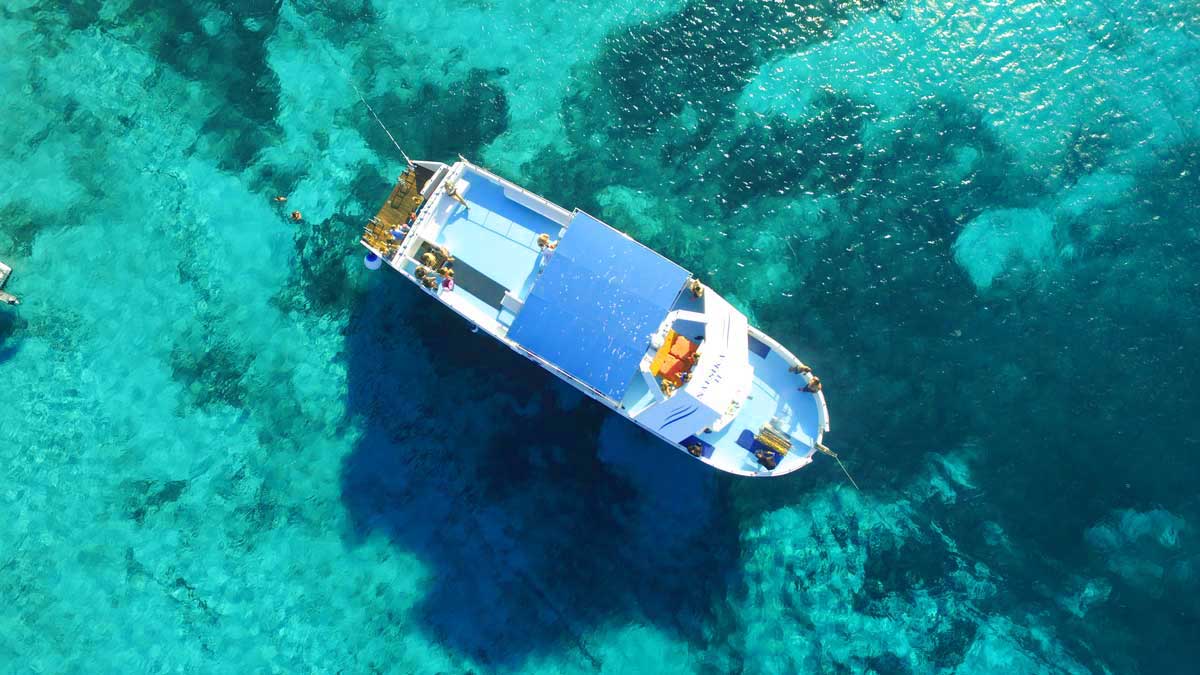 Special Occasions on a Boat Trip from Latchi Harbour in Cyprus